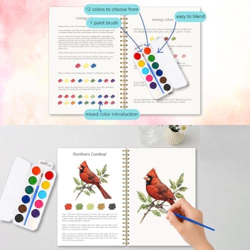 North American Bird Watercolor Workbook for Beginner, Watercolor Painting Book with 12 Different Pretty Bird Designs Include Cardinal Robin Song Birds, Water Coloring Book Set with Palette and Brush - Image 4