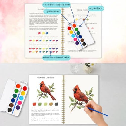 North American Bird Watercolor Workbook for Beginner, Watercolor Painting Book with 12 Different Pretty Bird Designs Include Cardinal Robin Song Birds, Water Coloring Book Set with Palette and Brush - Image 4