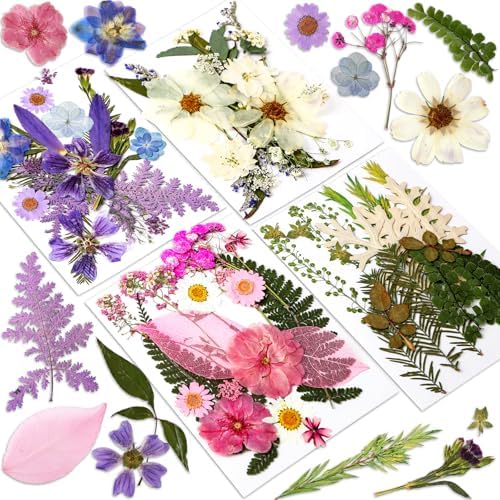 Augshy Dried Pressed Flowers Dry Leaves, 80 Pcs Real Pressed Flowers Leaves for Resin Molds Assorted Pink Blue White Flower for Crafts DIY Jewelry Molds, Scrapbooking, Candle by Augshy