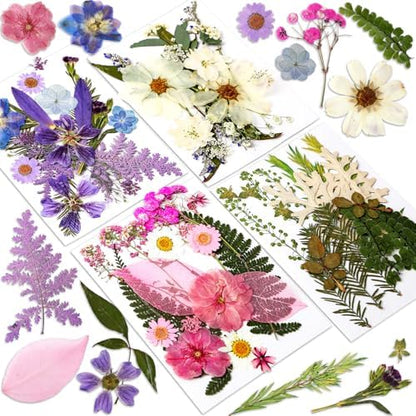 Augshy Dried Pressed Flowers Dry Leaves, 80 Pcs Real Pressed Flowers Leaves for Resin Molds Assorted Pink Blue White Flower for Crafts DIY Jewelry Molds, Scrapbooking, Candle by Augshy