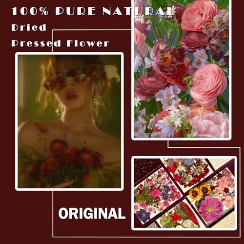 MIKIYA 85Pcs Dried Pressed Flowers for Resin Molds, Real Natural Bulk Dry Floral Leave for DIY Art Crafts, Epoxy Jewelry, Candle, Soap Making, Nails Decors Gifts - Image 2