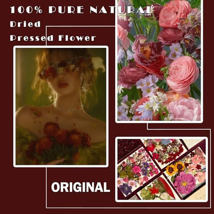 MIKIYA 85Pcs Dried Pressed Flowers for Resin Molds, Real Natural Bulk Dry Floral Leave for DIY Art Crafts, Epoxy Jewelry, Candle, Soap Making, Nails Decors Gifts - Image 2