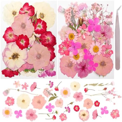 50Pcs Dried Pressed Flowers Real Pressed Flowers Natural Dry Leaves Bulk Mixed Colorful Herbs Kit with Tweezers for Scrapbooking DIY Candle Jewelry Crafts Making Nails (Pink) by Gvhntk