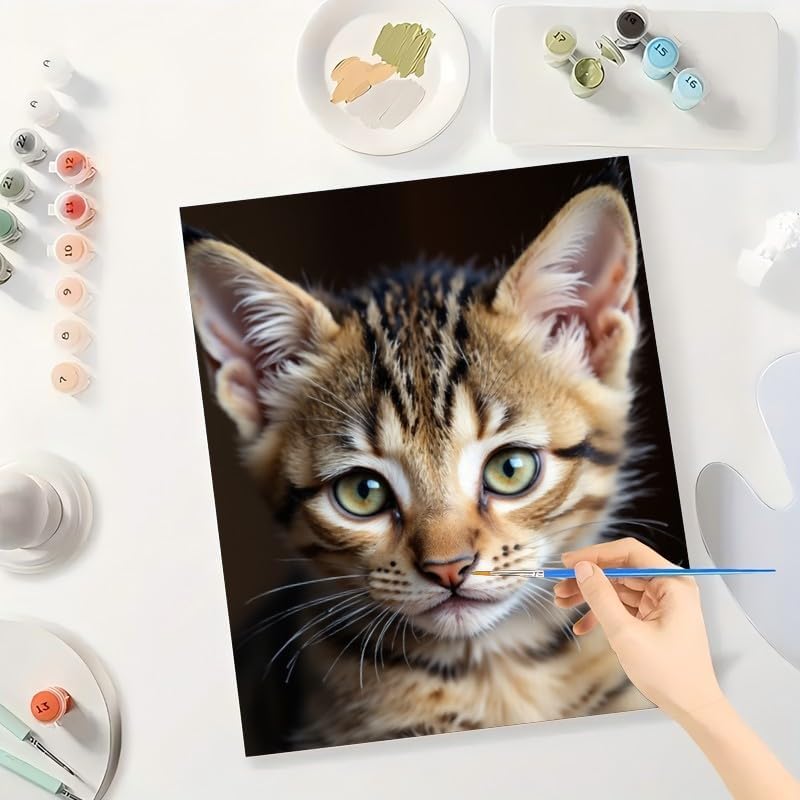 TAOPAOLAB Cat Portrait Paint by Numbers Kit for Adults - DIY Close-Up Bengal Kitten Face Painting on Canvas 12x16in, Framed Acrylic Paint Set for Beginners, Art for Home Decoration or Gifts - Image 3