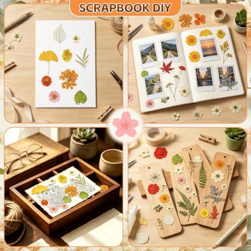 Dried Pressed Flowers for Resin Crafts, Real Dried Flowers and Leaves Kit for Resin Jewelry Molds, Candle & Soap Making, Scrapbooking DIY, Nail Art (Yellow, Orange) - Image 4