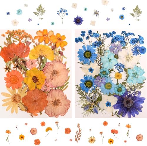 182 PCS Real Pressed Dried Flowers and Leaves for DIY Crafts - Image 6