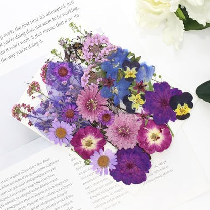 40 Pcs Purple Dried Pressed Flowers Real Natural for Scrapbooking Art Crafts DIY Gift Papermaking Resin Party Decorations Candle Soap Card Jewelry Making Supplies - Image 5
