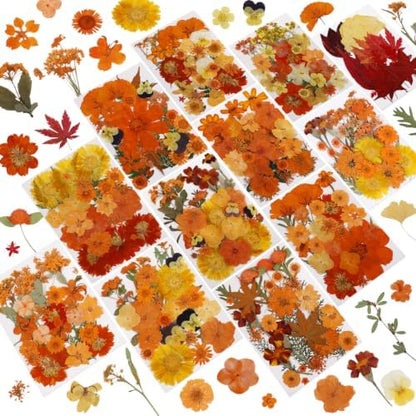 350 Pcs Fall Dried Flowers for Crafts,Real Nature Dried Flowers for Resin by NESCCI