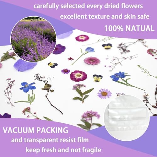 40 Pcs Purple Dried Pressed Flowers Real Natural for Scrapbooking Art Crafts DIY Gift Papermaking Resin Party Decorations Candle Soap Card Jewelry Making Supplies - Image 3