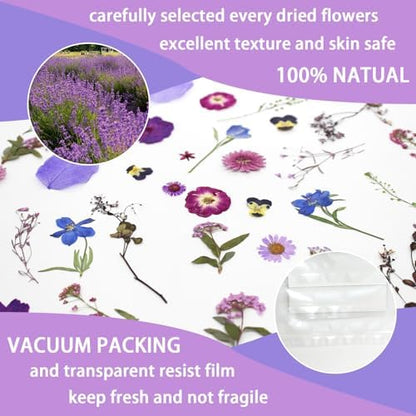 40 Pcs Purple Dried Pressed Flowers Real Natural for Scrapbooking Art Crafts DIY Gift Papermaking Resin Party Decorations Candle Soap Card Jewelry Making Supplies - Image 3