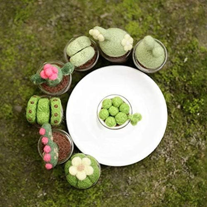 KISSBUTY Full Range of Needle Felting Kit, Cactus Wool Felted Set for Adults and Beginners Including Wool Roving for 8 Succulents, Foam Mat, Glass Pots, Needles, Finger Guards Tools Kit - Image 4