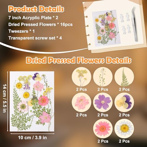 Okayera Dried Flower Frame with LED Light - Display for Pressed Flowers 4x6inch, Unique Gift for Women Mom Wife Girlfriend Valentines Mothers Day Birthday Christmas, Night Light for Bedroom Home Decor - Image 4