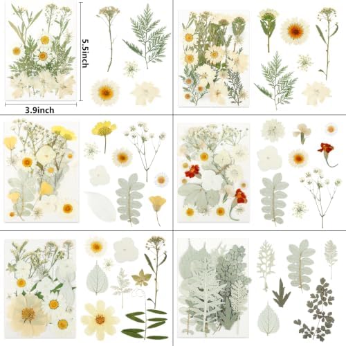 NESCCI 247 Pcs Dried Flowers for Crafts,Real Natural Dried Pressed Flowers - Image 3