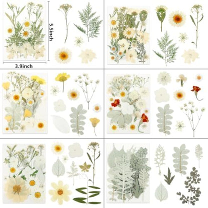 NESCCI 247 Pcs Dried Flowers for Crafts,Real Natural Dried Pressed Flowers - Image 3