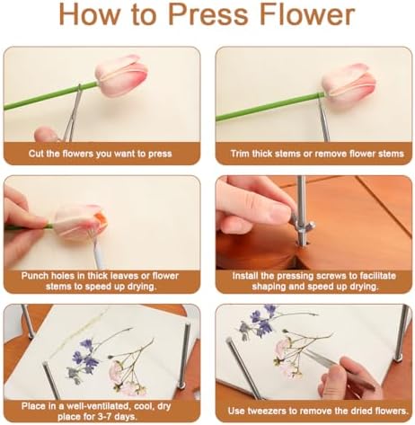 GPVHYJ Flower Press Kit for Adults 11" x 11" 6-Layer Large Wooden Plant Pressing DIY Bouquet Preservation & Dried Flower Art - Image 5
