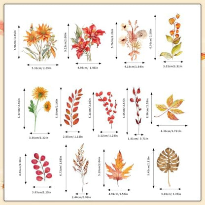 80 Pcs Fall Stickers Natural Autumn Flower Sticker for Scrapbook Supplies - Image 2