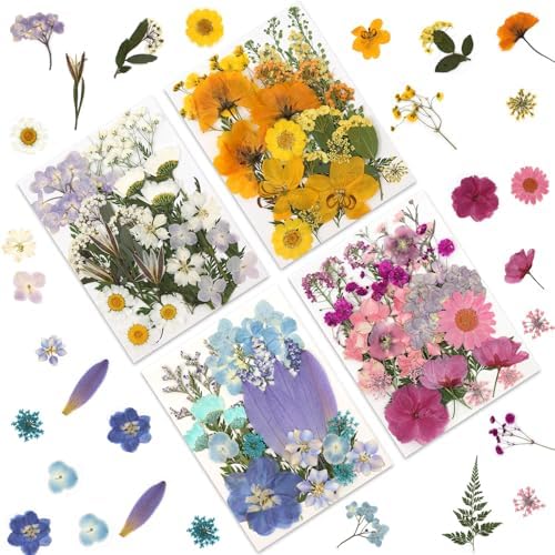 LUXEEASE 4 Color 110P Long Stem Dried Pressed Flowers by LUXEEASE
