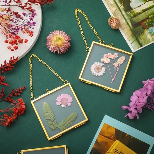 DoubleFill 12 Pcs Pressed Flower Frame Double Glass Gold Metal,4 x 4 Inch - Image 4
