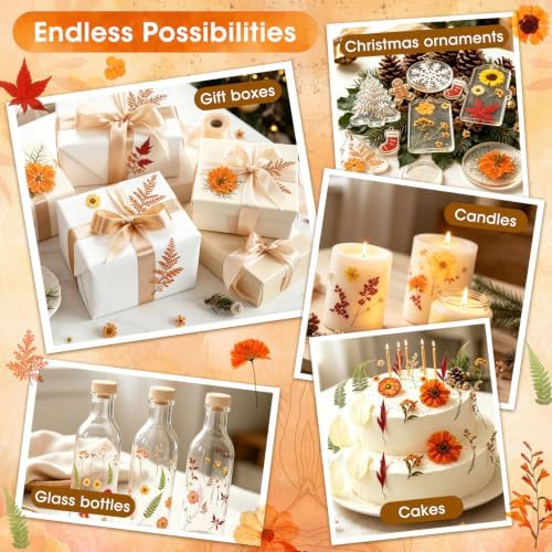 170 PCS Fall Dried Pressed Flowers with Tweezers, Real Nature Dried Flowers Orange Autumn Pressed Florals Set for Resin Scrapbooking Vase Candle Making Card Scrapbook Craft Floral Decors - Image 5