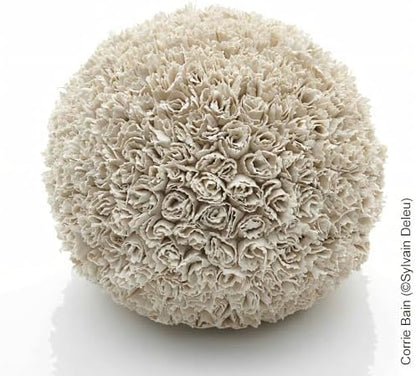 SIO-2 Aneto White Porcelain High Fire Pottery Clay, 11 lb (5 kg), Kiln-Fired Clay for Wheel-Throwing, Slab Building & Modeling - Create Pottery and Artwork, Ready-to-Use - Image 4