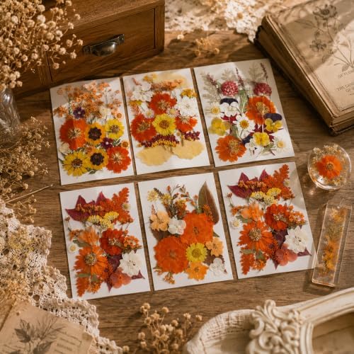 277 Pcs Autumn Dried Flowers for Crafts,Real Nature Dried Flowers for Resin - Image 4