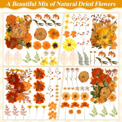 150 PCS Fall Dried Pressed Flowers for Crafts, Real Orange Red Dried Wildflowers Leaves Bulk Nature Pressed Dried Flower for Scrapbooking Candle Resin Jewerly Making - Image 4