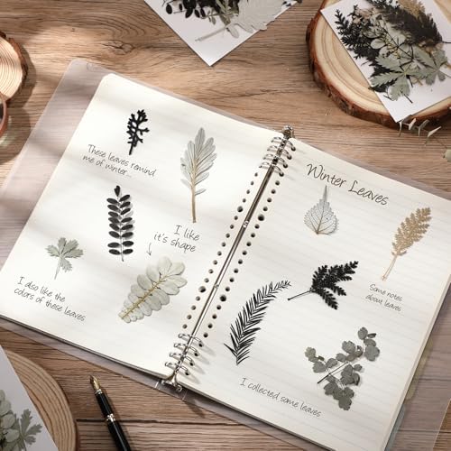 Timtin 84 Pieces Dried Pressed Leaves Dried Flowers for Resin Dried Leaves for Resin Mini Dried Flowers for Crafts Dried Greenery Assorted for Art DIY Handmade Bookmarks 4 Bags (Stylish Style) - Image 7