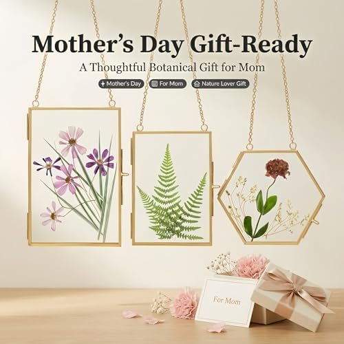 Relaxing Garden Pressed Flower Frame Kit, 3 Hanging Glass Frames - Image 4