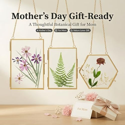 Relaxing Garden Pressed Flower Frame Kit, 3 Hanging Glass Frames - Image 4
