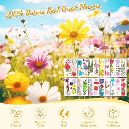 Evatage 200 Pcs Small Dried Pressed Flowers for Resin Crafts - Image 4