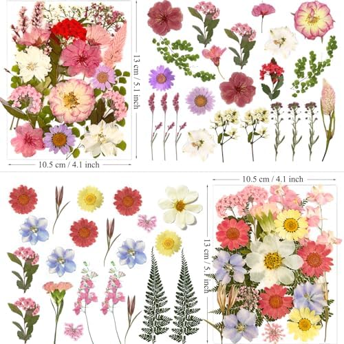 MIKIYA 90Pcs Pink Dried Pressed Flowers for Resin Molds, Assorted Real Natural Bulk Dry Floral Leaves for DIY Art Crafts, Epoxy Jewelry, Candle, Soap Making, Nails Decors Gifts - Image 6