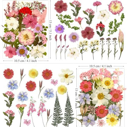 MIKIYA 90Pcs Pink Dried Pressed Flowers for Resin Molds, Assorted Real Natural Bulk Dry Floral Leaves for DIY Art Crafts, Epoxy Jewelry, Candle, Soap Making, Nails Decors Gifts - Image 6