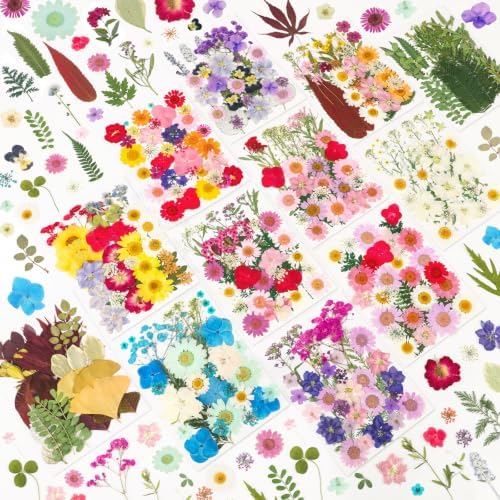 420 Pcs Dried Pressed Flowers for Resin,Real Nature Dried Flower for Crafts by NESCCI