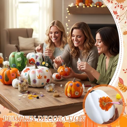 Canlierr 12 Pcs Large Craft Pumpkins & 150 Dried Flower, Orange White Green - Image 5