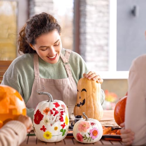Pinkunn 24 Pcs Artificial Pumpkin and 140 Pcs Dried Flowers, White - Image 4