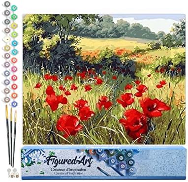 Figured'Art Paint by Numbers Kit for Adults Field of Poppies in The Countryside 16"x20" - Craft Art Painting DIY Kit Rolled Canvas Without Frame by FiguredArt