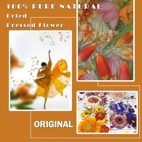 MIKIYA 98Pcs Pressed Dried Flowers for Resin Molds, Real Natural Bulk Big Dry Floral Leave for DIY Art Crafts, Epoxy Jewelry, Candle, Soap Making, Nails Decors - Image 2