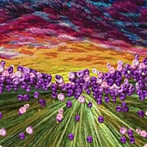 JRYYR Friendship Gifts Beginner Embroidery kit for Adults,Embroidery Kits for Beginners DIY Cross Stitch with Patterns and Instructions (Purple Lavender) - Image 2