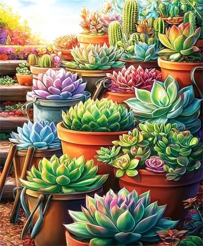 Nancency DIY Paint by Number for Adults,Painting Kits for Adult,Color by Numbers,Paint by Number Canvas Crafts Watercolor for Beginner Room Decor (Potted Plants) by Unknown