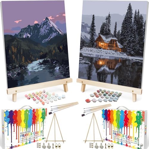 BAISITE Paint by Numbers Kit for Adults,16" Wx20 L 2 Pack Canvas for Painting Kits for Adults in Colorful Box 219220 Already Framed by PaintbyNumbersKitsforAdults