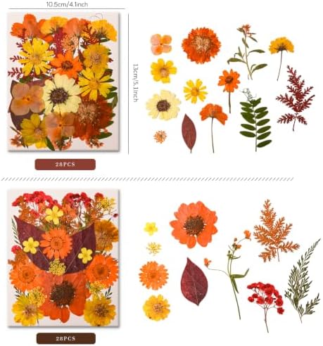 5 Packs 140 Pressed Dried Flowers & Leaves, Fall - Image 4