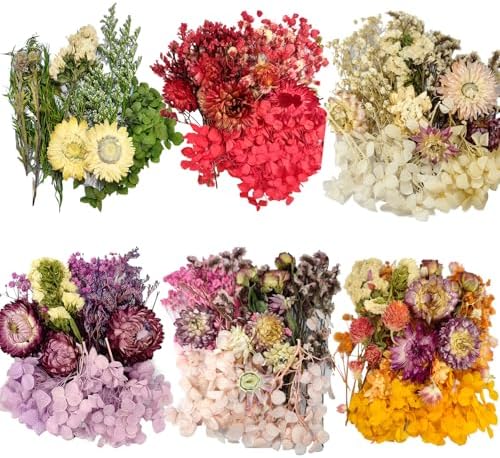 6 Color Themes Natural Dried Flowers Small Real Dry Flower for Resin, Soap Making, Greeting Cards, Craft Projects by CoolCrafts