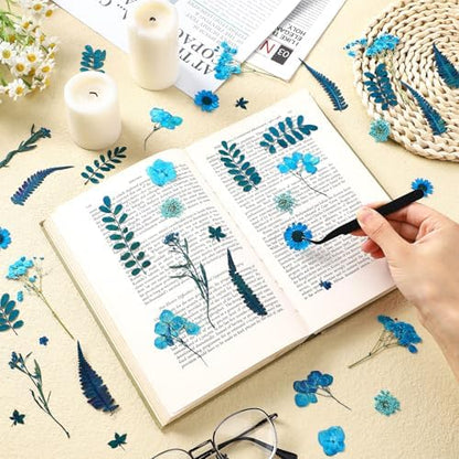 Fabbay 200 Pcs Dried Pressed Flowers Natural Leaves for Resin Nail, Blue - Image 2