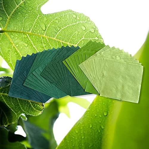 Natural Fiber Mulberry Paper Sheets 6 x 6 Inches, 50 PCS Handmade Craft Paper for Origami, Scrapbooking, Card Making, DIY Decoration, Mixed Media Art (Green Tone, 6x6 Inch) - Image 3