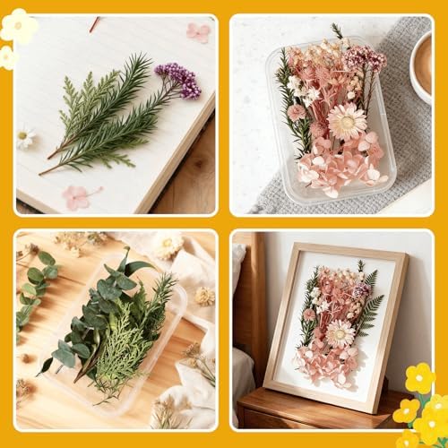 2PCS Dried Flowers Kit, Natural Dried Flowers Kit for DIY Crafts, Scrapbook, Card Making (Stye2_13) - Image 5