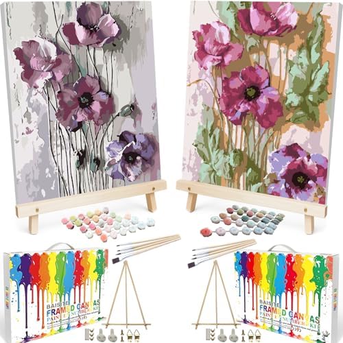 BAISITE Paint by Numbers Kit for Adults Beginners,16" Wx20 L 2 Pack Canvas for Painting Kits for Adults in Colorful Box 6566 Already Framed by PaintbyNumbersKitsforAdults