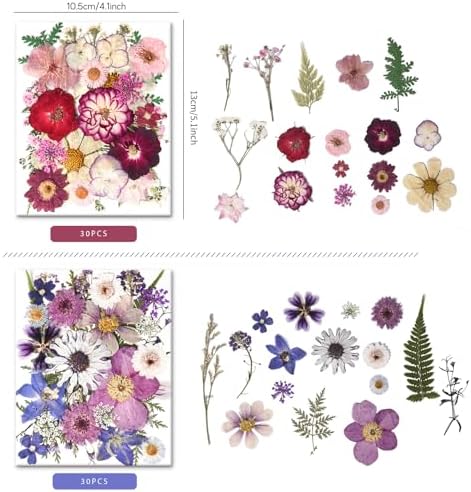 184 PCS Real Pressed Dried Flowers and Leaves for Resin - Image 5