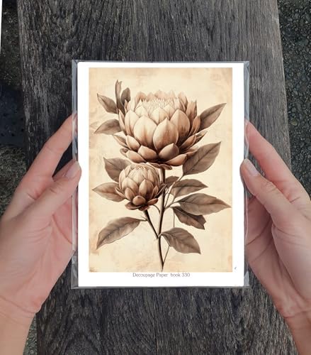 Decoupage Paper Pack (35 Sheets 6"x8") Vintage Proteas: Elegant Sepia-Toned Protea Blooms with Soft Botanical Details in Classic Aged Illustrations and Timeless Floral Charm FLONZ Vintage - Image 3