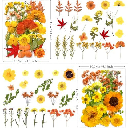 MIKIYA 88Pcs Yellow Pressed Dried Flowers for Resin Molds, Real Natural Bulk Dry Floral Leaves for DIY Art Crafts, Epoxy Jewelry, Candle, Soap Making, Nails Decors - Image 5