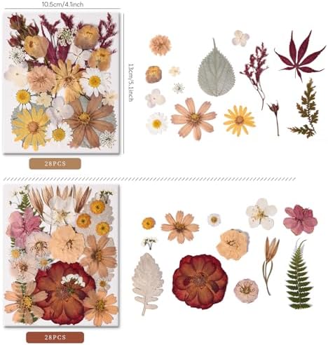 110 PCS Vintage-Colored Pressed Flowers, Colorful-d - Image 2